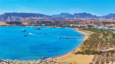 وزير قطاع الأعمال لـ القاهرة 24: اختيار مكتب استشاري عالمي لطرح أرض رأس جميلة للاستثمار