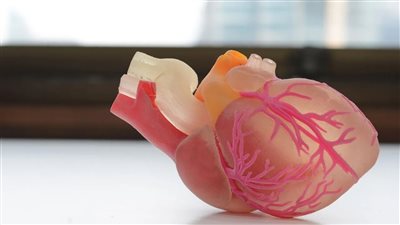 علماء: إطلاق اختبار دم جديد خلال سنوات يحدد الأشخاص المُعرضين لقصور القلب 