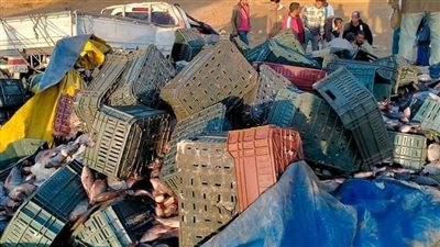 ننشر أسماء وإصابات 38 شخصًا في حادث انقلاب أتوبيس بالسويس