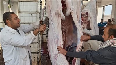 بيطري المنيا تحرر 46 محضرًا وتضبط طن لحوم غير صالحة بالأسواق