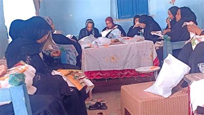 حياة كريمة.. استمرار تنظيم برنامج التثقيف المالي وورشة عمل للخياطة بأسوان