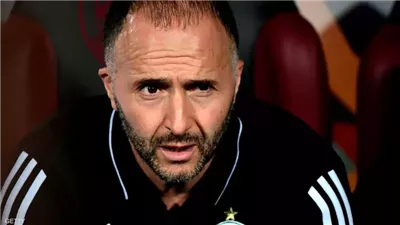 مصدر بالاتحاد الجزائري يكشف لـ القاهرة 24 آخر تطورات أزمة جمال بلماضي