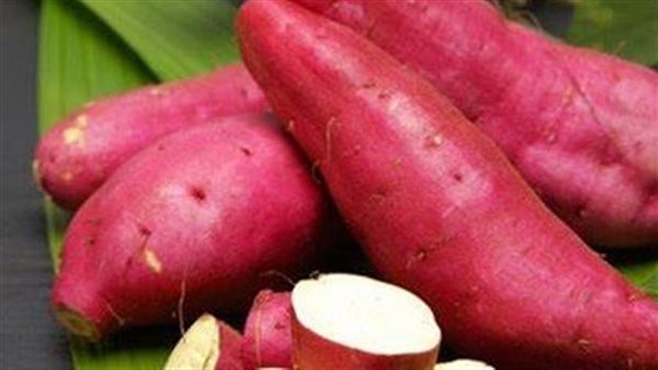 البطاطا الحلوة 