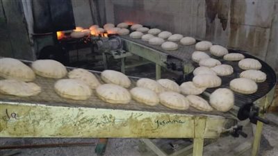 تلاعبوا في وزن العيش.. تحرير 4 محاضر مخالفات تموينية بكفر الشيخ