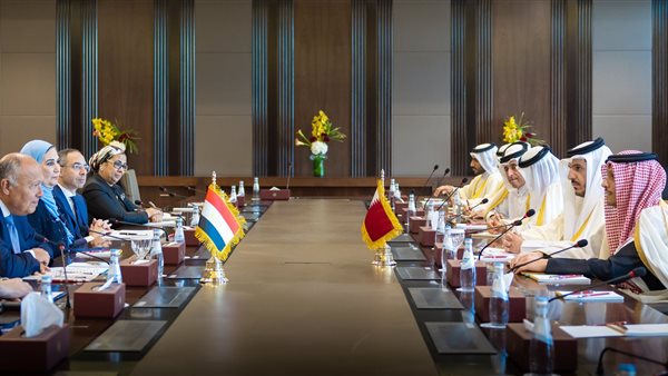 اللجنة العليا المصرية