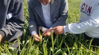 رئيس تصديري الحاصلات الزراعية: زيادة الصادرات بنحو 280 مليون دولار