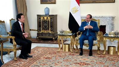 الفاو: الدور المصري في إدخال المساعدات إلى غزة تاريخي