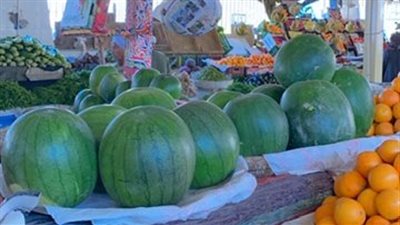 انخفاض في الأسعار.. البطيخ يزين أسواق الأقصر والكيلو بـ5 جنيهات 