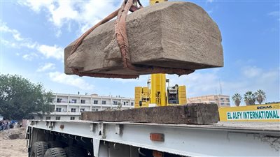 شاهد.. نقل قطع أثرية عثر عليها خلال إنشاء مستشفى بنها الجامعي الجديد | صور 