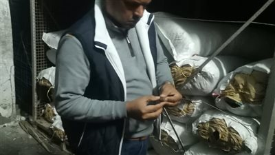 ضبط 300 طن تمور غير صالحة للاستهلاك الآدمي بالبحيرة