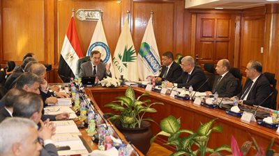 شركة نقل الغاز في مصر: الكهرباء استحوذت على 52% من إنتاجنا العام الماضي