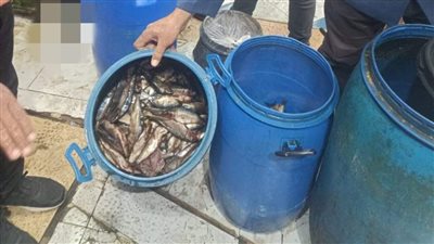 ضبط 400 كجم سردين مملح غير صالح للاستهلاك الآدمي بالمنوفية