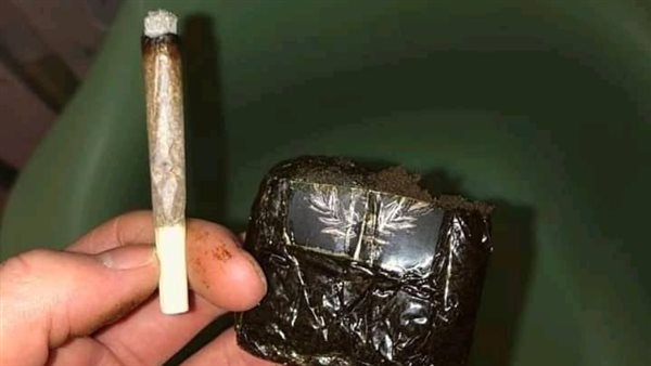 مخدر الحشيش - أرشيفية