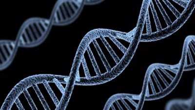 دراسة توضح علاقة الجينات الوراثية بارتفاع ضغط الدم منذ الطفولة