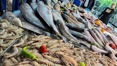 أسعار الأسماك اليوم الجمعة 15 أغسطس 2025 في سوق الجملة 