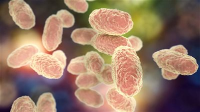 خبراء يتوقعون تفشي السعال الديكي بعد ارتفاع معدل الإصابات في بريطانيا