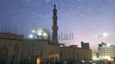 أمين الفتوى: بركة دعاء السيدة زينب تحمي مصر إلى الآن