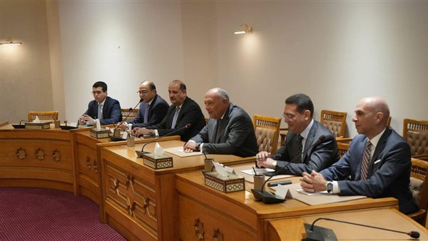 سامح شكري وزير الخارجية