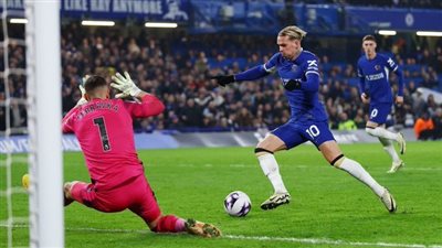 تشيلسي يحقق فوزًا ثمينًا على حساب نيوكاسل يونايتد بالدوري الإنجليزي