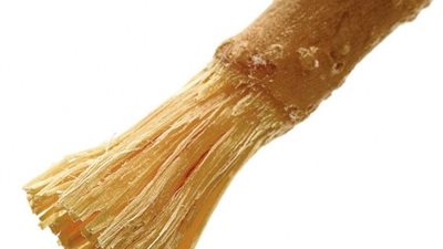 حكم استخدام السواك للصائم وهل فرشة الأسنان والمعجون حرام في نهار رمضان