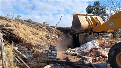 الري: إزالة 82 ألف حالة تعدي على مجرى نهر النيل خلال 9 أعوام