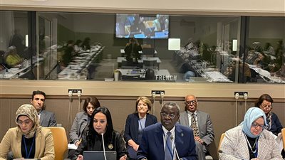 القومي للمرأة: مصر مددت فترة إجازة الأمومة ووفرت بيئة عمل مرنة للنساء