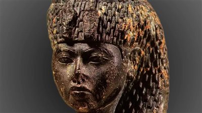 المتحف المصري بالتحرير يعرض تمثالا لرأس الملكة تي