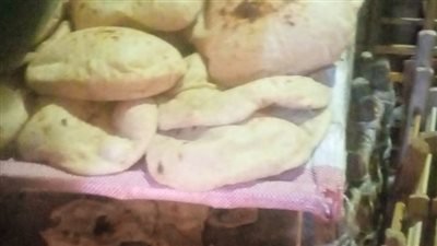 تحرير 52 مخالفة لمخابز بلدية مخالفة في القليوبية