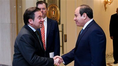السيسي ووزير الخارجية الإسباني يشددان على الوقف الفوري لإطلاق النار في غزة وإدخال المساعدات