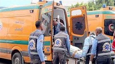 إصابة شخصين في مشاجرة بالأسلحة النارية بالأقصر 