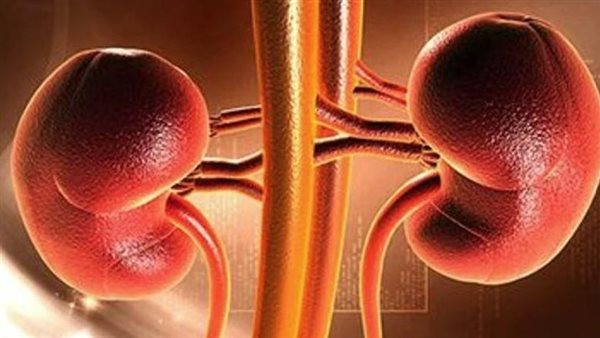  صورة تعبيرية 