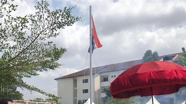  رفع علم مصر بالقرية