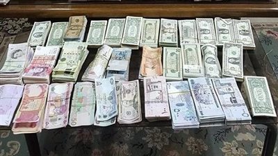 ضبط قضايا إتجار في النقد الأجنبي بقيمة 12 مليون جنيه خلال 24 ساعة