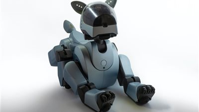 بريطانيا توضح حقيقة استخدام الحيوانات الأليفة الآلية في رعاية المرضى 