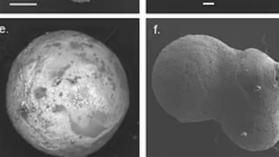 جسم غامض من خارج النظام الشمسي يسبب صراعا بين جامعات عالمية