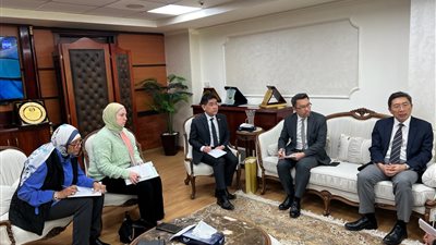 الضرائب: سيتم حل جميع مشاكل مستثمري سنغافورة في مصر لدعم الاستثمار 