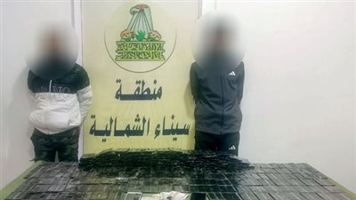  بـ 3.8 مليون جنيه.. القبض على 3 متهمين بالإسكندرية وسيناء بحوزتهم 550 طربة حشيش