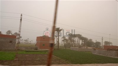 عاصفة ترابية تضرب الفيوم.. وتحذيرات لأصحاب الأمراض التنفسية
