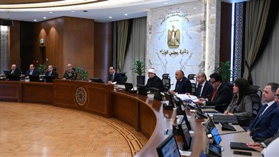 سمير فرج: تشكيل وزارة جديدة غدا وضخ دماء جديدة