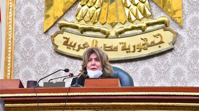 فريدة الشوباشي تقدم طلبا للبرلمان لرفع معاشات الفنانين: يستحقون نظرة اعتراف بجميلهم 