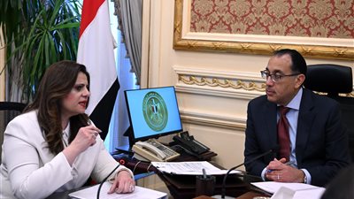 الحكومة: تطوير تطبيق إلكتروني للمصريين بالخارج يضم محفزات استثمارية