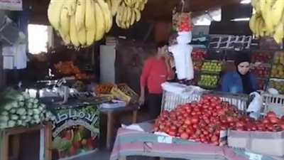 الطماطم بـ 8 جنيهات والبرتقال بـ 12.. أسعار الخضروات والفاكهة بمدينة طور سيناء | بث مباشر 