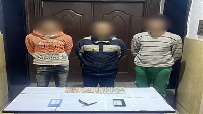 الداخلية تضبط لصوص الشوارع والشقق السكنية في القاهرة | صور