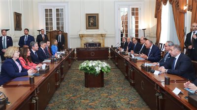 وزير الخارجية يبحث مع نظيره الأمريكي الوقف الدائم لإطلاق النار في غزة