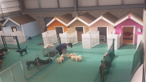 فندق كلاب - تعبيرية