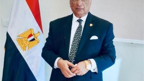 المستشار مسعد عبد