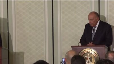 شكري: اتفقنا مع واشنطن على اتخاذ خطوات ملموسة من أجل زيادة المساعدات لـ غزة