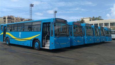 مجانا.. توفير أتوبيسات لنقل جماهير المنتخب الوطني إلى استاد العاصمة الإدارية| تفاصيل