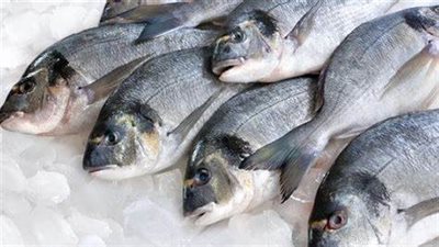 أسعار الأسماك اليوم الاثنين 2 ديسمبر 2024 في الأسواق 