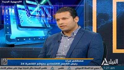 مصطفى مراد: محاور الإصلاح الهيكلي تعتمد على تنمية وتطوير الصناعة المصرية